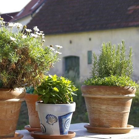 Ferienwohnung Sachsenberg Keine Monteure Hadersdorf am Kamp ภายนอก รูปภาพ
